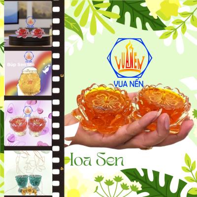 Album ly Hoa Sen 1